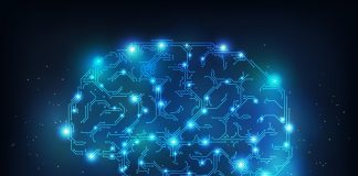 The Human Blockchain and the Emerging Global Bioelectronic Brain (360+)