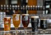 New Guinness Brewery Opens in Maryland guiness brew selection