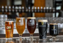 guiness brew selection